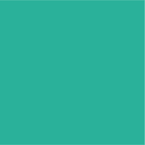 Carré vert