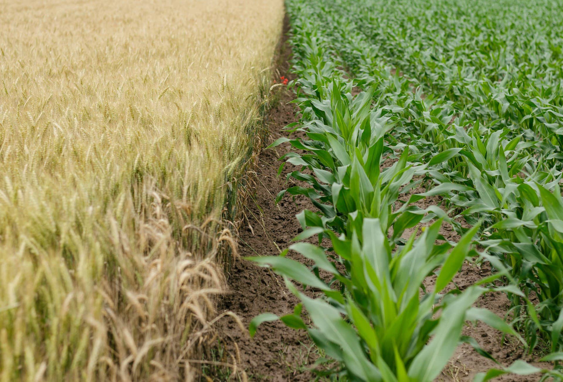 Un environnement agricole en pleine mutation